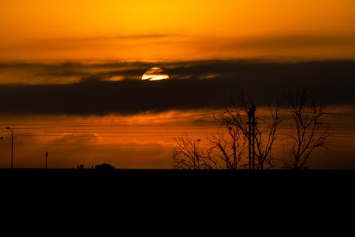 View of Bare Trees during Sunset