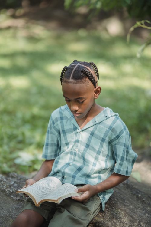 Free A young boy engrossed in reading a book while sitting on a rock in a serene park setting. Stock Photo