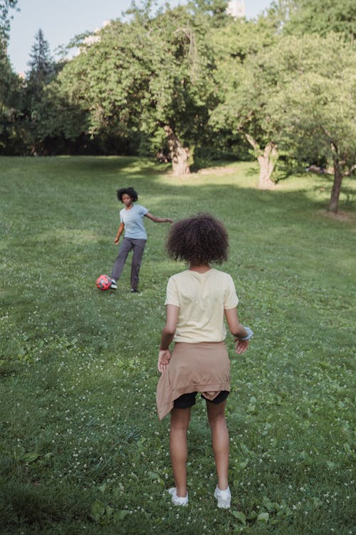 Ingyenes stockfotó afro-amerikai család, anya, futball témában