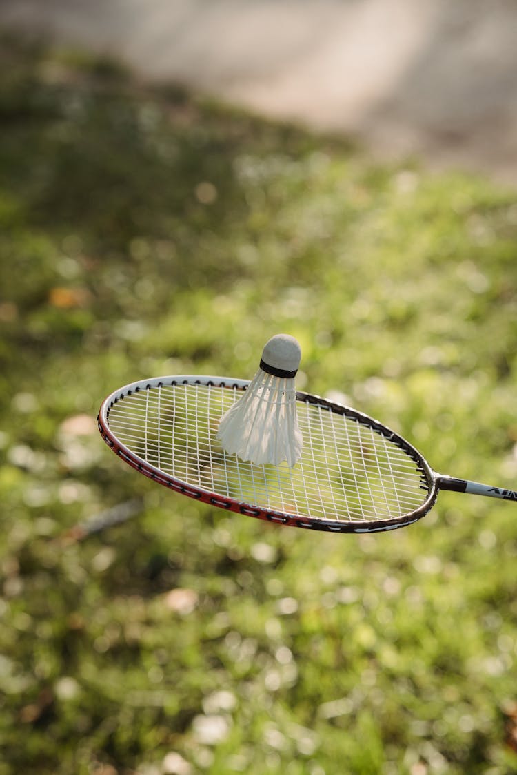 Badminton Racket And Shuttlecock