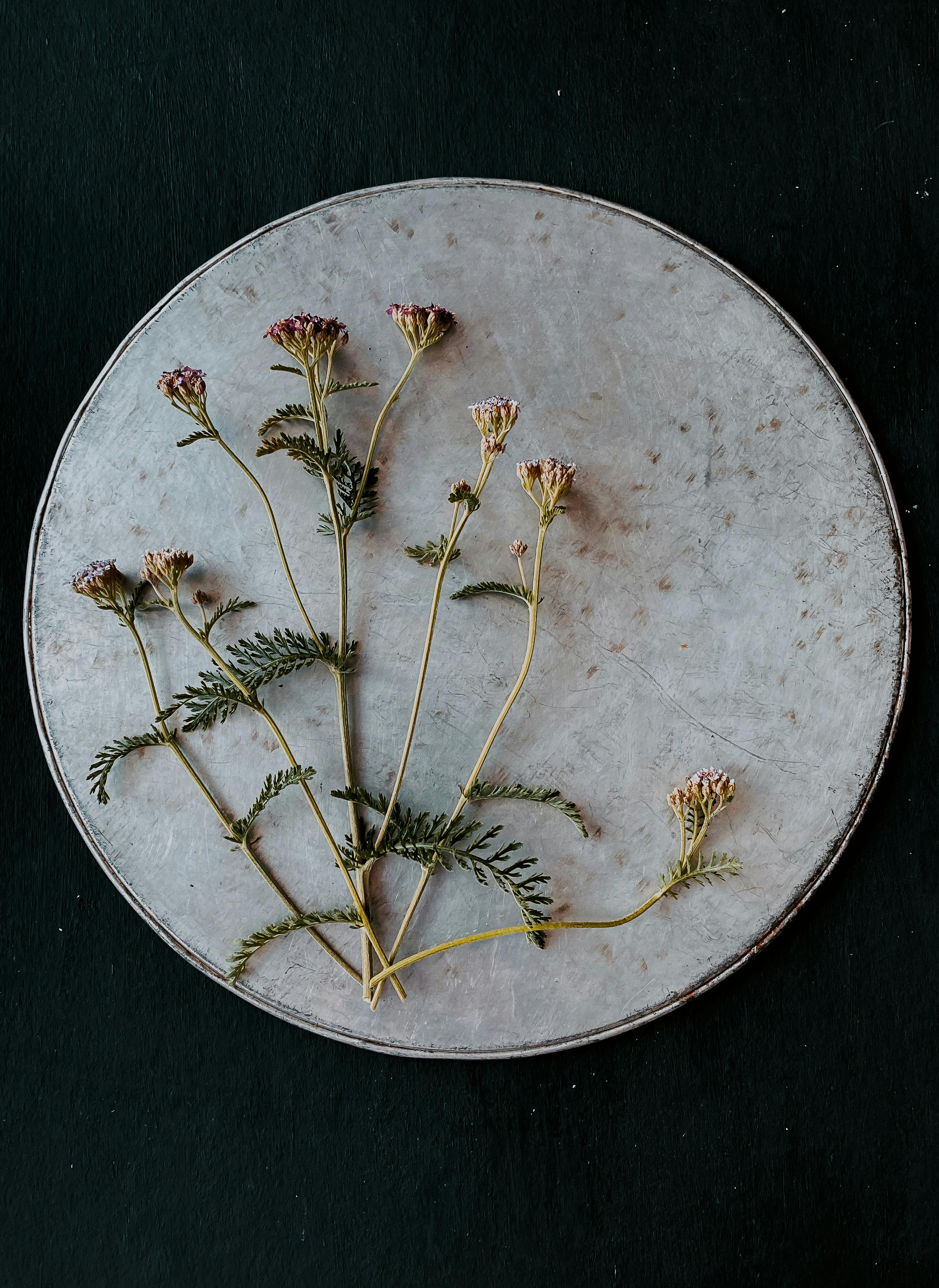 Minimalist depiction of preserved wildflowers arranged on a round metal surface for an artistic aesthetic touch.