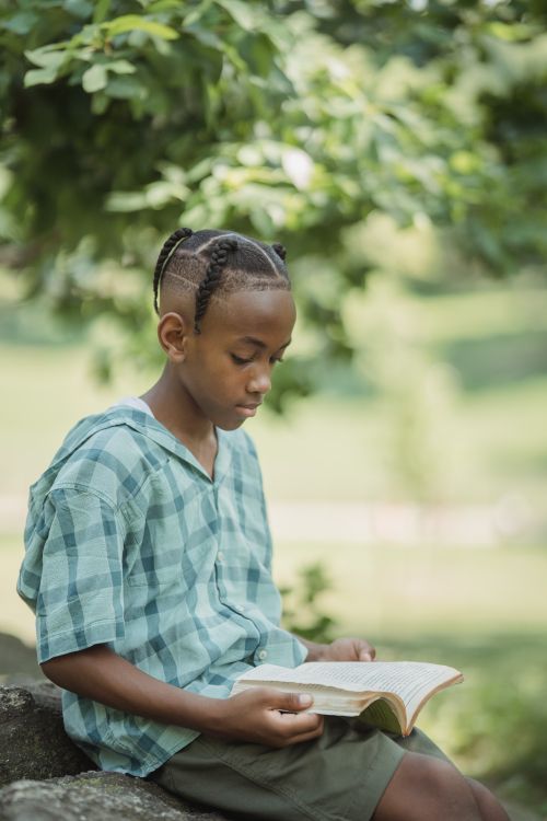 Free A young boy enjoys reading a book outdoors under the summer sun in a lush green park. Stock Photo