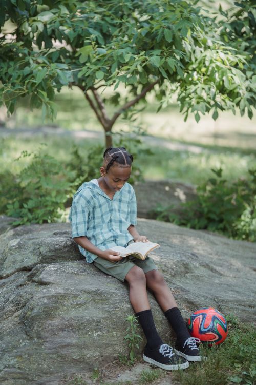 Free A teenage boy reads a book on a rock in a sunny park while a football rests nearby. Stock Photo