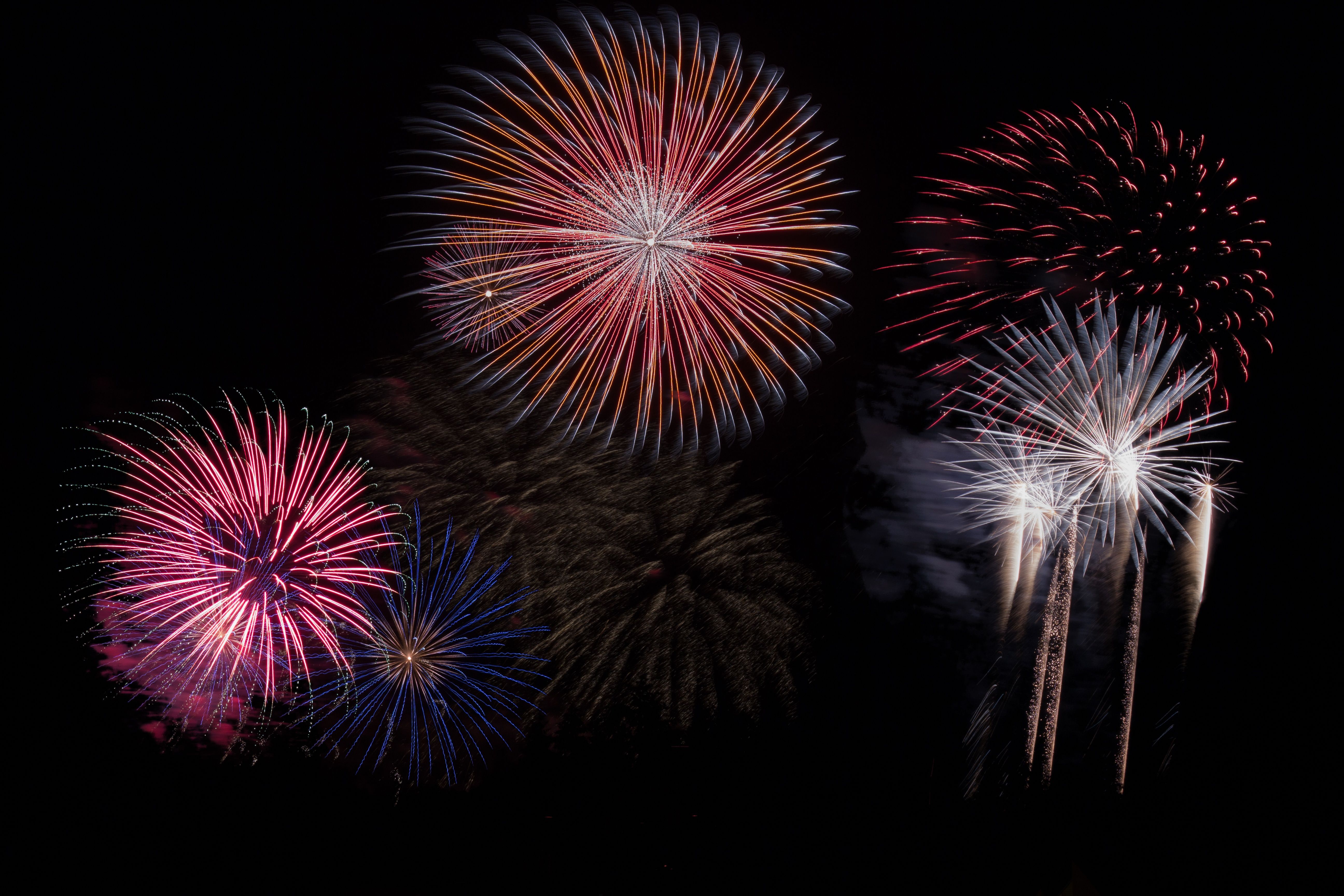 Photo by Pixabay: https://www.pexels.com/photo/painting-of-fireworks-128872/
