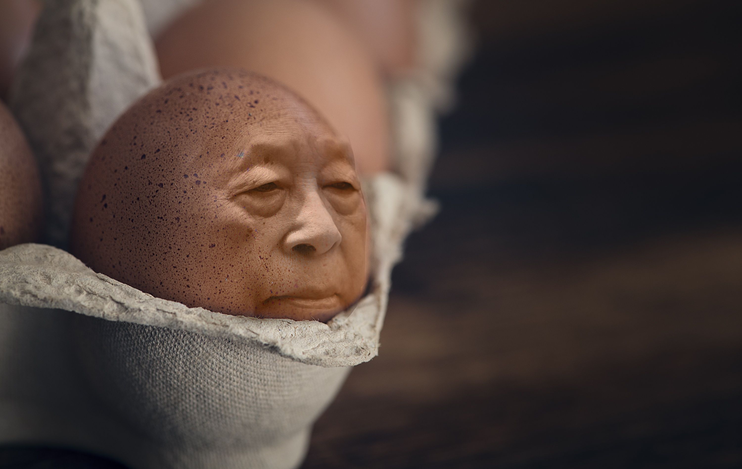 kostenloses-foto-zum-thema-braun-ei-ei-gesicht