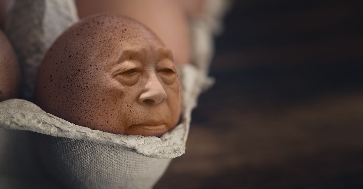 Kostenloses Foto Zum Thema Braun Ei Ei Gesicht kostenloses-foto-zum-thema-braun-ei-ei-gesicht