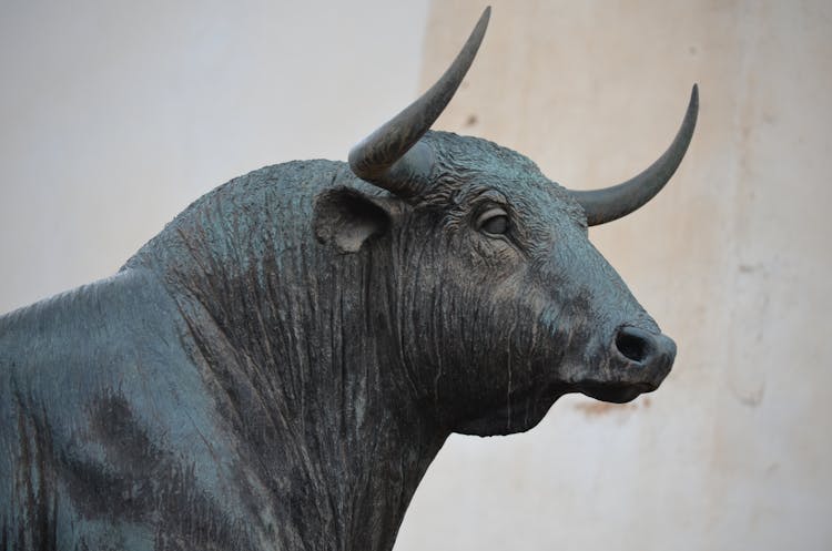 Close-up Of A Bull Statue