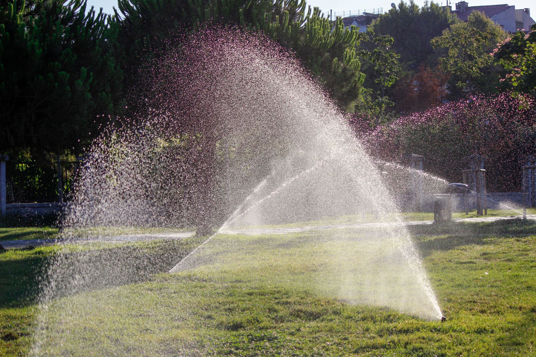 Spring Sprinkler Startup: What Irrigation Contractors Find Wrong Every Year (And What It Costs You)