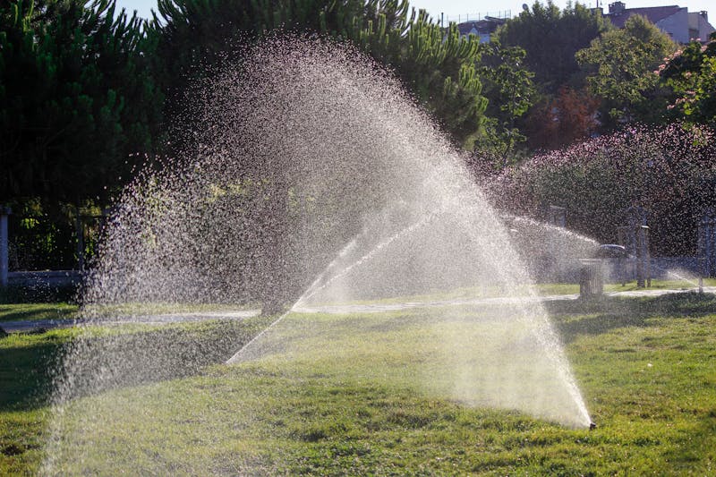 Sprinkler on green lawn