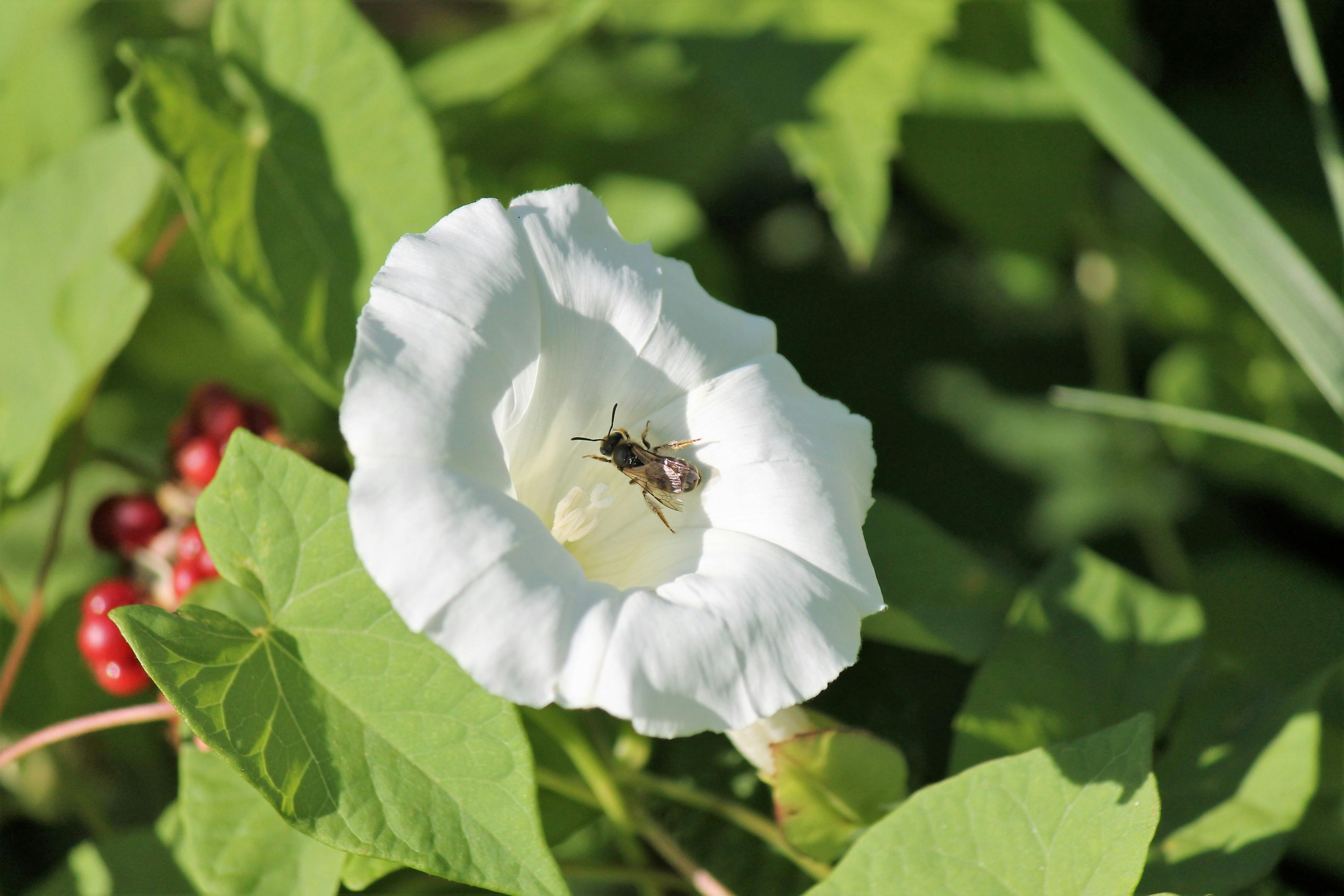 Ark Valley Civics Bee Competition to Send Three Local Students to State — Photo by DETAVERNIER ODILE on Pexels