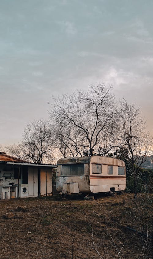 Imagine de stoc gratuită din abandonat, arbori, cămin