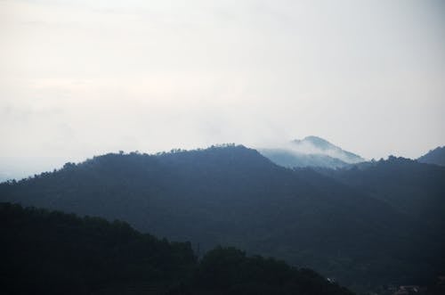 Clouds over Forest on Hills