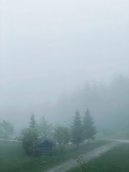 Foggy morning in Tirol, Austria with a misty landscape and evergreen trees.