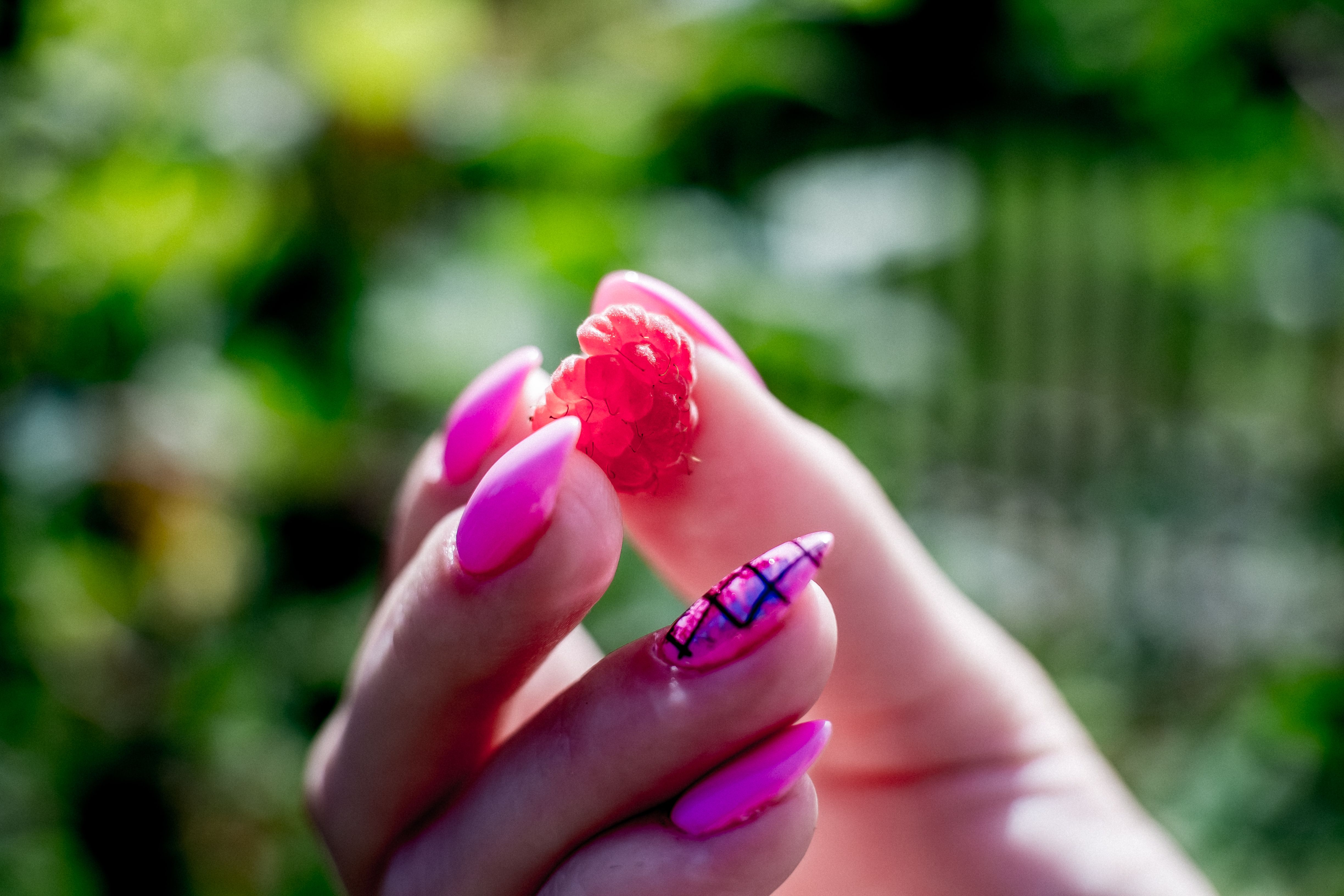 A vibrant photo of a raspberry held by a hand with stylish pink nails, perfect for summer themes.