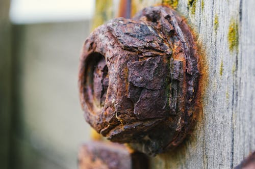 rusted nut on the beach