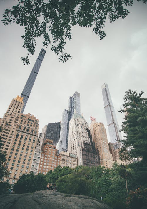 Gratis stockfoto met amerika, bomen, central park Stockfoto