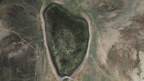 Birds Eye View of Grassland