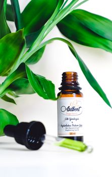 Brown glass bottle and dropper with leaves, ideal for natural skincare and aromatherapy visuals.