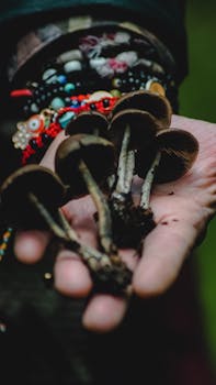 A close-up of a hand adorned with bracelets holding several wild mushrooms in an outdoor setting.