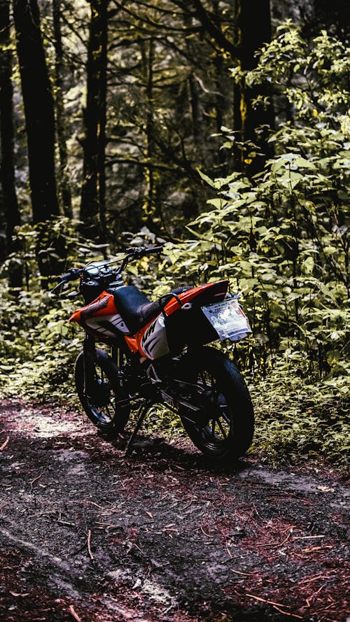 Black and Orange Motorcycle Parked on Forest