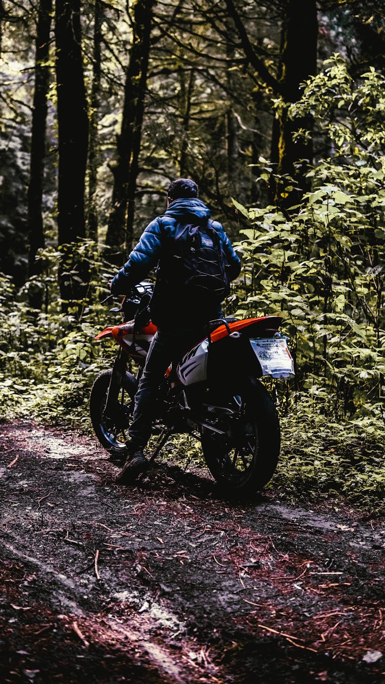 Man On Motorcycle In Forest