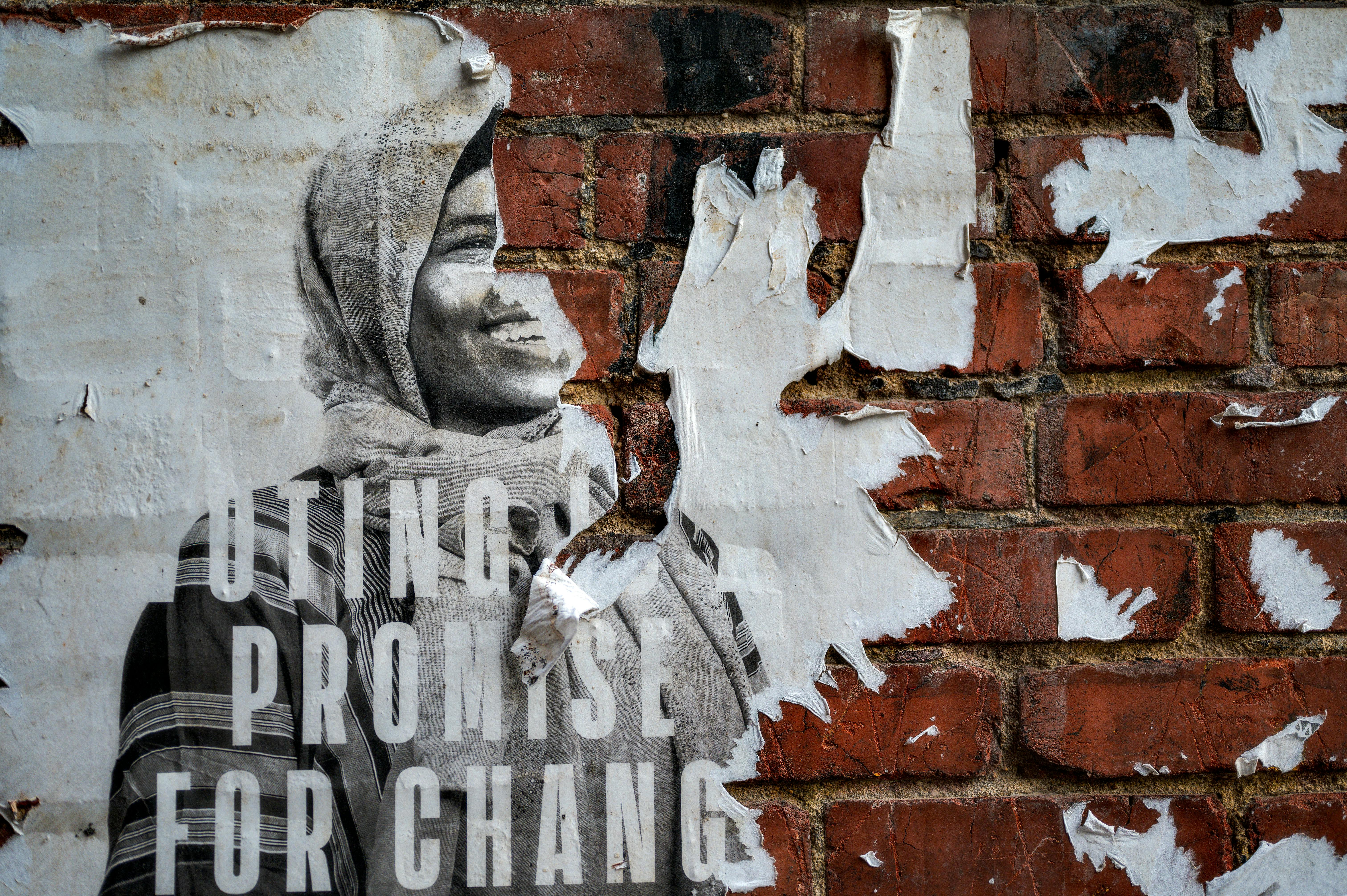 hyper-local politics voter demographics — Photo by Brett Sayles on Pexels