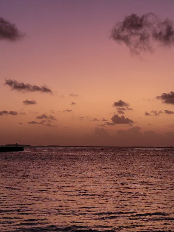 Ocean during Sunset