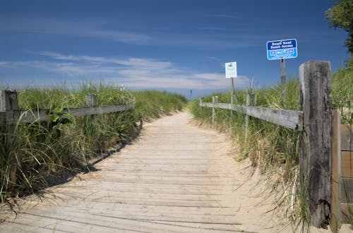 Boardwalk Between Tall Grass