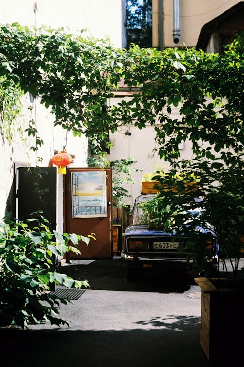 Blue Car Parked Outside a Building Near a Vine