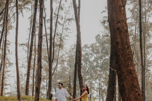 Foto profissional grátis de amor, ao ar livre, árvores