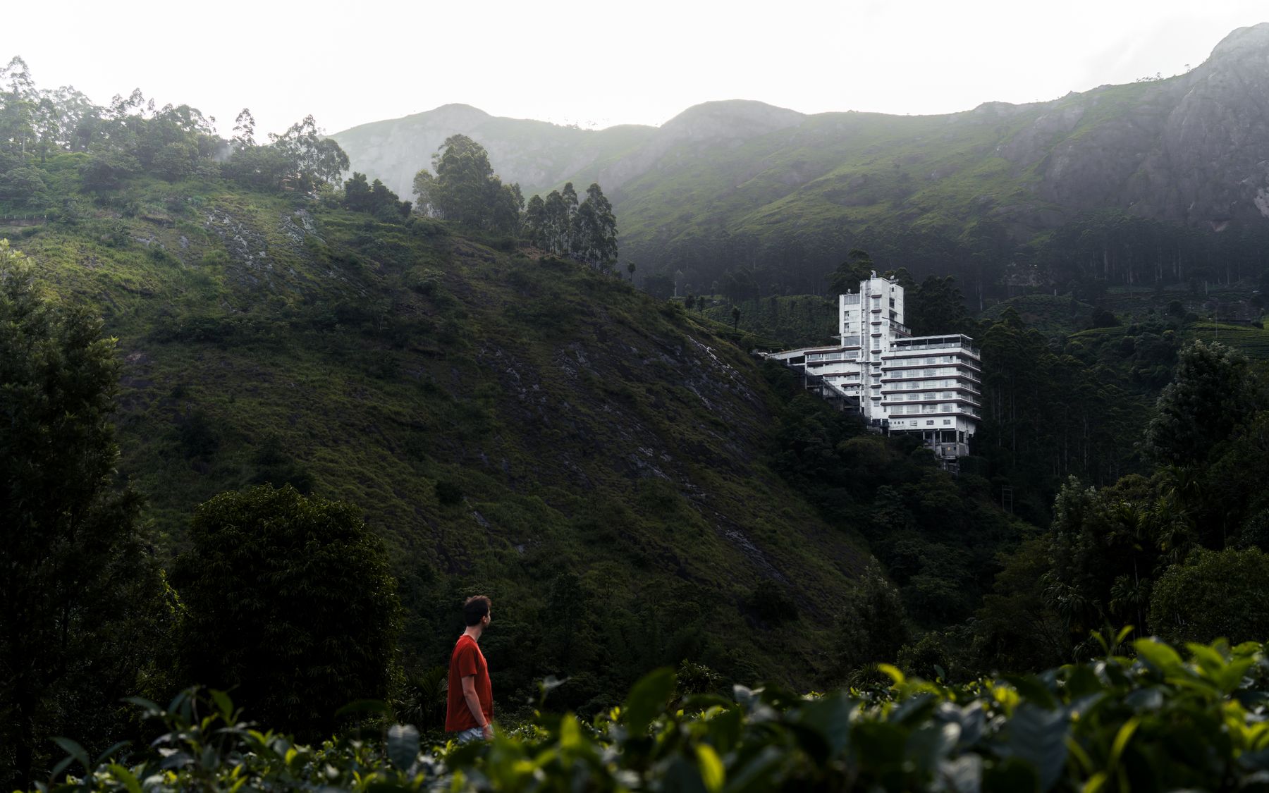Best Hotels in Munnar for Families and Honeymoon Couples: A Kochi Traveller's Guide