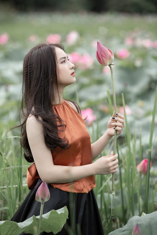 Frau Im Braunen Hemd, Das Rosa Blütenblattblume Hält