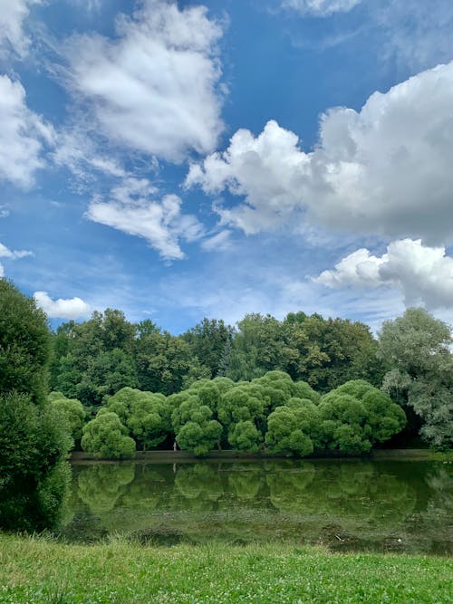 Free Green Trees Near Body of Water Under Blue Sky and White Clouds Stock Photo