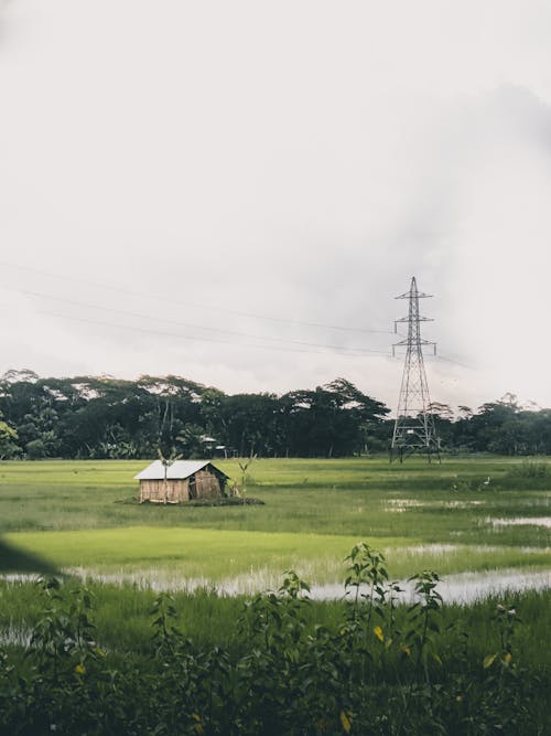 A House on an Agricultural Land