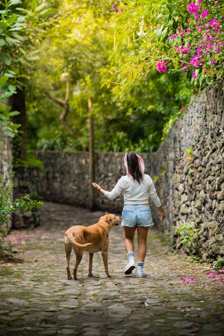 Girl Walking In Garden With Dog