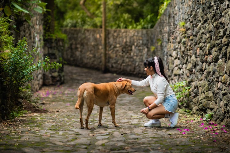 Girl Petting Dog Outdoors