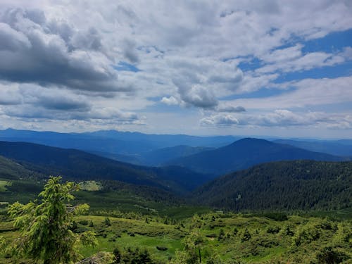 Carpathians view