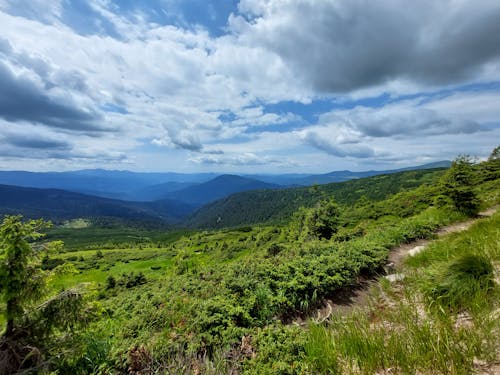 Hoverla trail