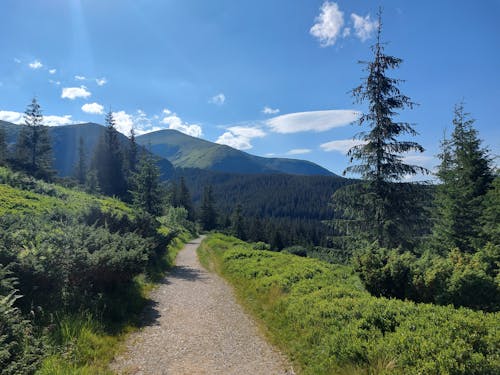 Kostenloses Stock Foto zu ästhetischer desktop-hintergrund, blauen himmel, grüne berge