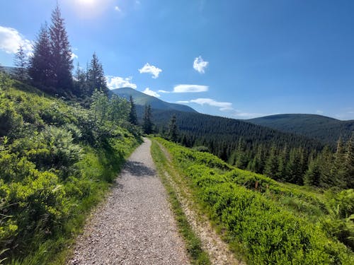 Carpathians