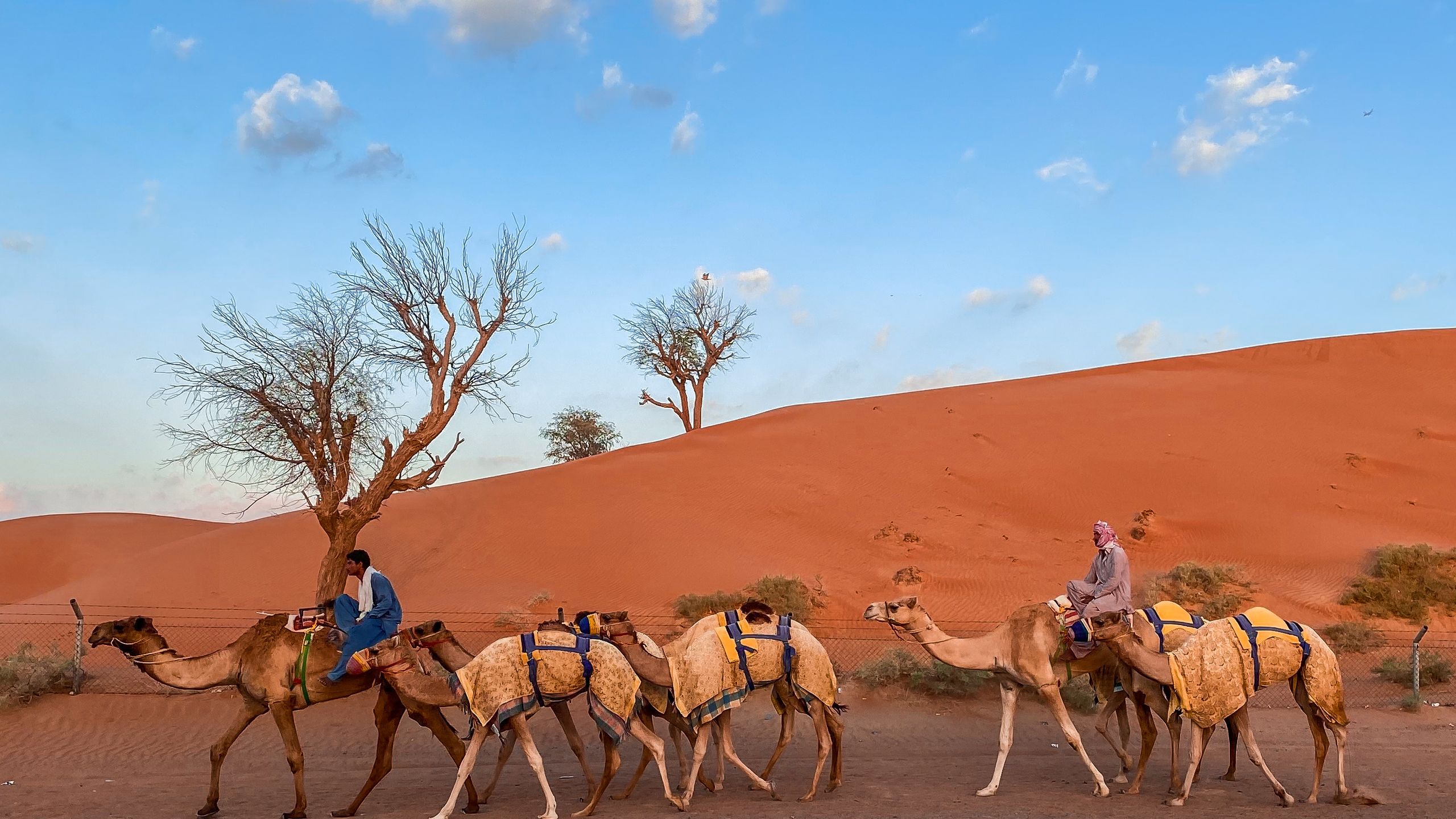 Camel Trekking in Oman: Your Guide to Desert Experiences