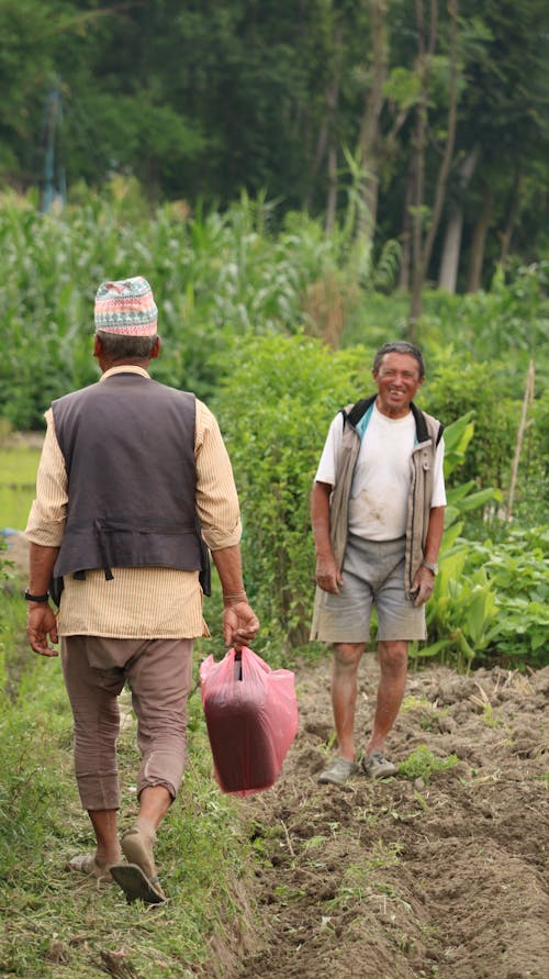 Foto stok gratis agrikultura, bekerja, bidang