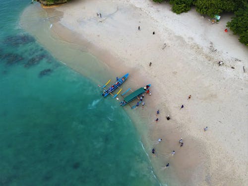Drone Shot of People on the Shore 
