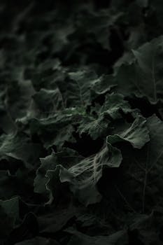 Close-up of dark green leaves with delicate textures and webbing, creating a mysterious feel.