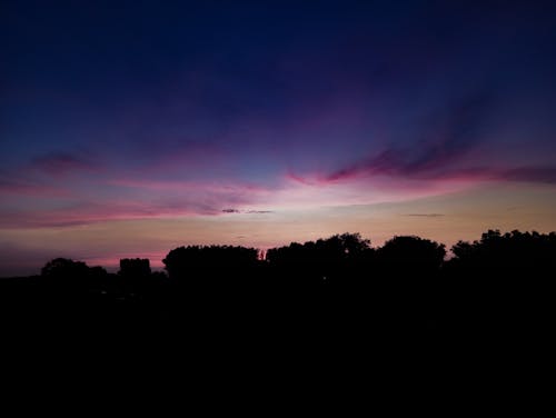 A Silhouette of Trees during a Twilight