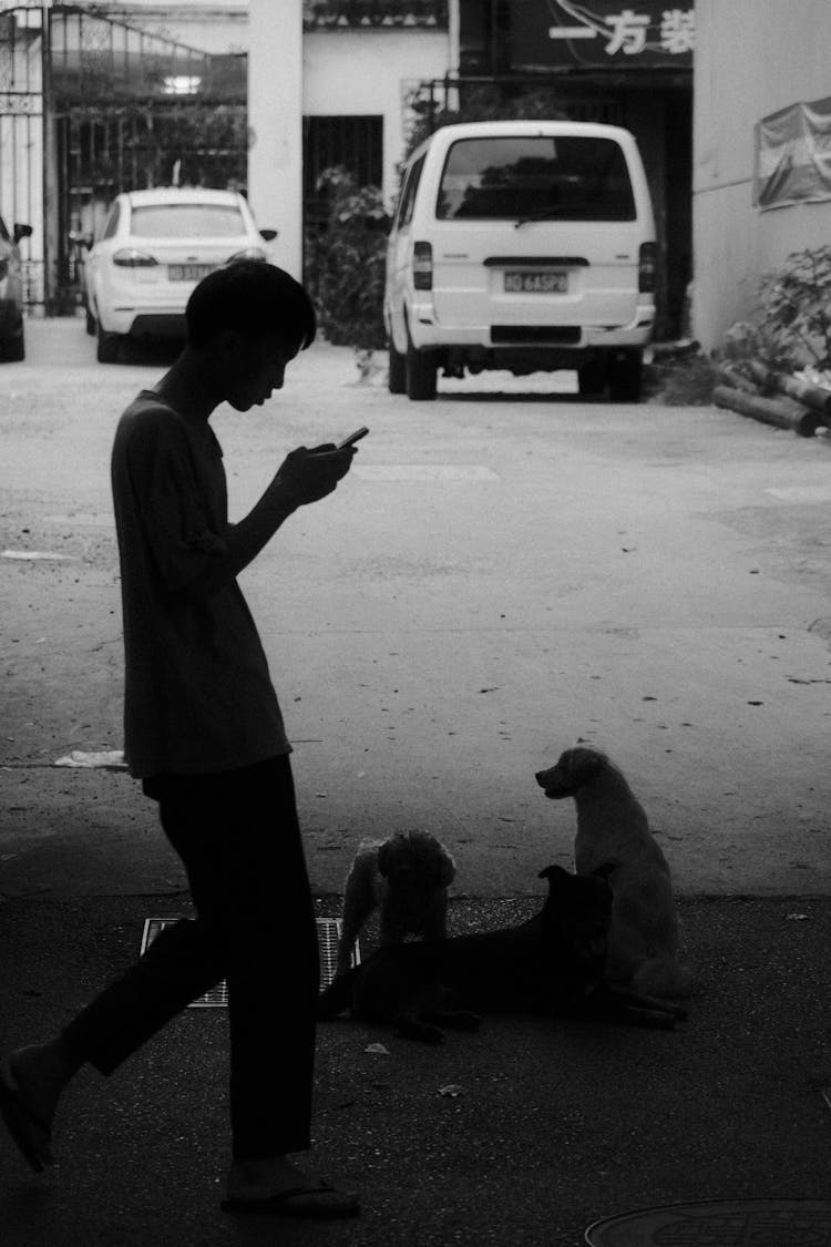 A Grayscale Of A Man Using A Smartphone While Walking Beside Dogs