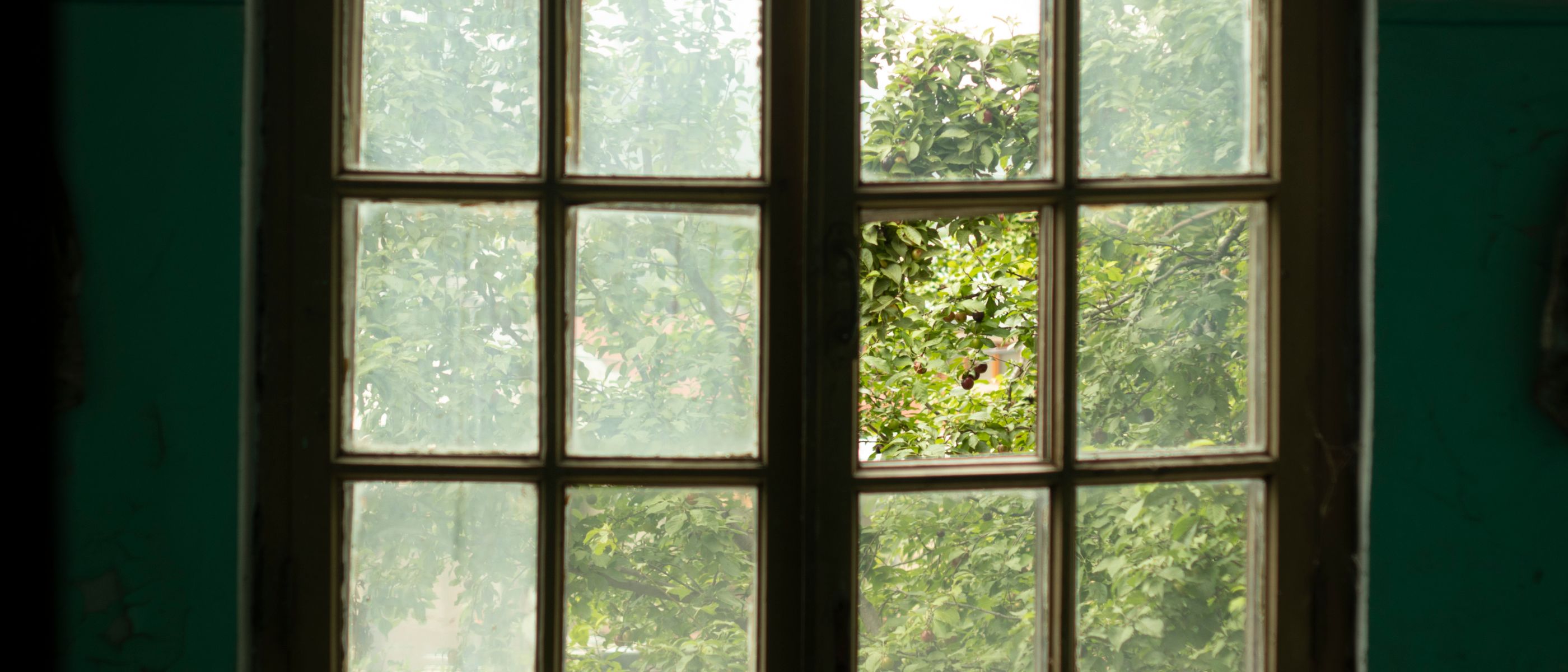 Exterior Painting in Abbey Wood — dust sheets down and the room fully protected