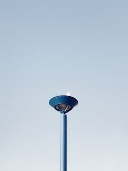 这款极简主义作品以蓝色路灯为特色，一只海鸥栖息其上，映衬着清澈的蓝天