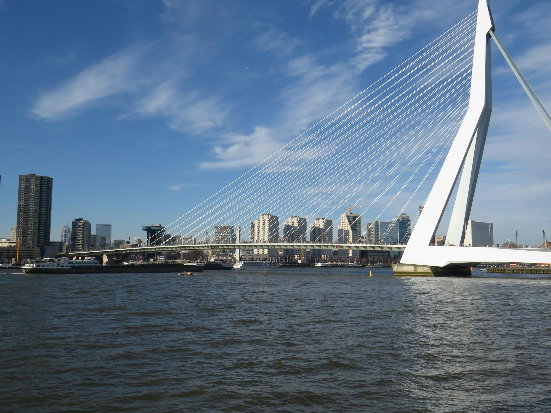 View of the iconic Erasmus Bridge over the Nieuwe Maas with Rotterdam skyline.