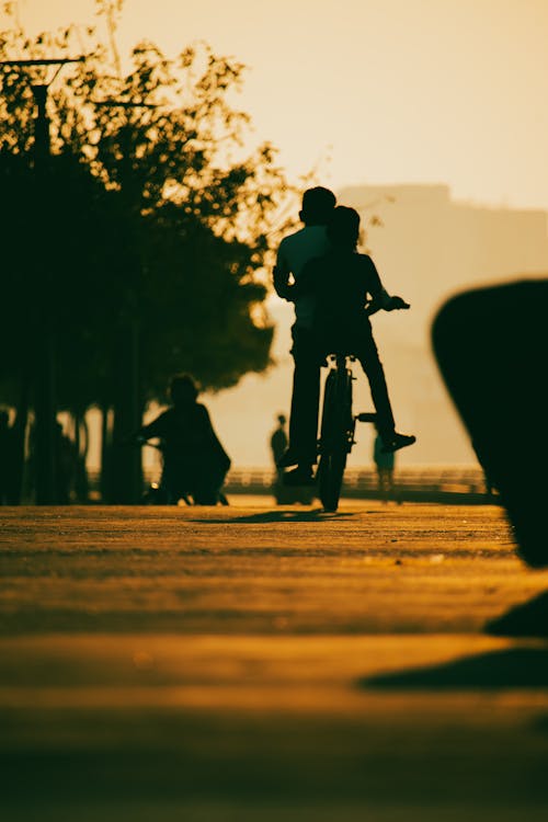 Silhouette of People Riding a Bicycle